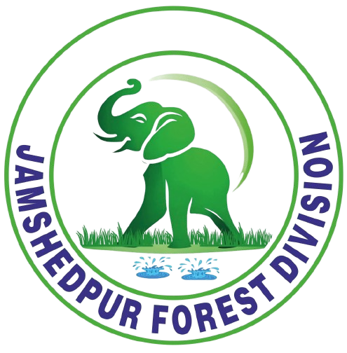 jsr forest division